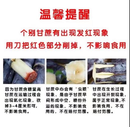 【黑皮甘蔗！甘甜多汁】新鲜水果应季特产，整箱水果甜柑果蔗，嘎嘣脆爽 甜蜜多汁，新鲜美味营养 果肉通透诱人 看着流口水 hh 商品图4