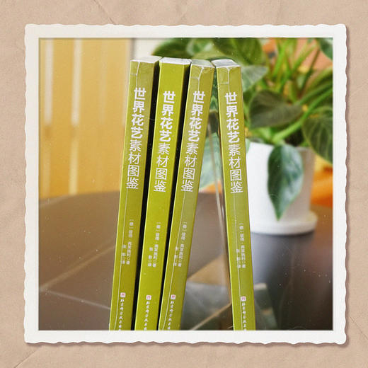 《世界花艺素材图鉴》-分销 商品图1