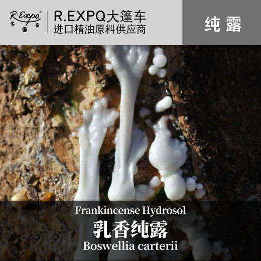 阿曼乳香纯露 原料批发 面部按摩纯露 美容院适用花水纯露 商品图0