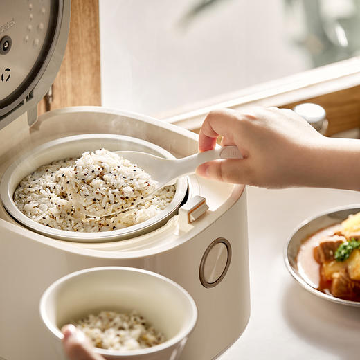 【小程序】小熊电饭煲 电饭锅迷你家用小容量1-2人一键快煮饭微压多功能预约配蒸笼1.6L蒸饭器小型小2人DFB-C16Q1 商品图4