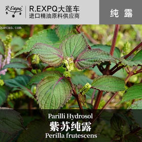 紫苏纯露原料批发 面部按摩花水纯露批发 美容院适用