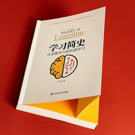 学习简史 从动物学习到机器学习 人类学习的本质 李韧 商品图4