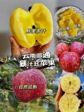 云南丑苹果9斤16-18个