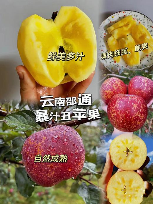 云南丑苹果9斤16-18个 商品图0