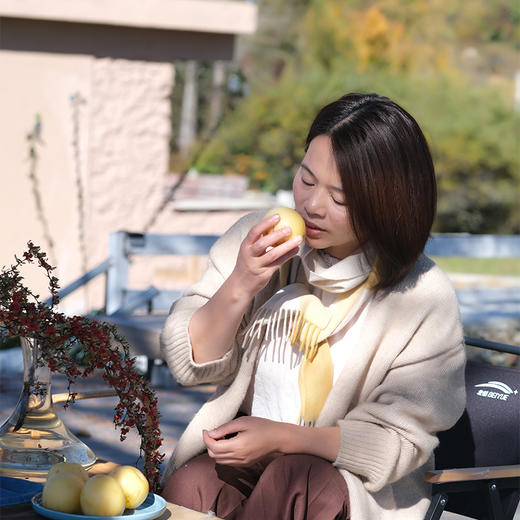 【云南石林树上熟的人参果】清甜补水  肉香皮薄  清甜多汁  无核化渣 营养低糖 商品图9