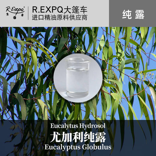 尤加利纯露 印度原料批发 面部按摩花水纯露批发 美容院适用SPA纯 商品图0