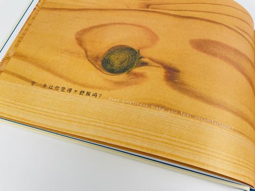 魔法象《空》 中英双语图画书（河北发货） 商品图9