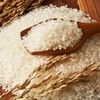 田良五优稻4号五常大米5kg（新老包装随机发货） 商品缩略图6