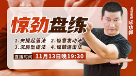 陆功翰传武秘籍第六期——惊劲盘练