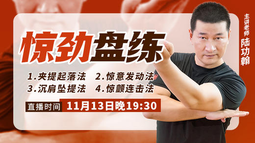 陆功翰传武秘籍第六期——惊劲盘练 商品图0