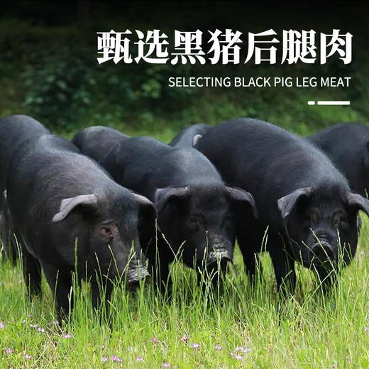 【到手7盒】彦伯黑猪肉爆汁鲜肉肠200g/盒(40g*5) ≥95%肉含量 肉质紧实 肥瘦适中 口感丰富 商品图4