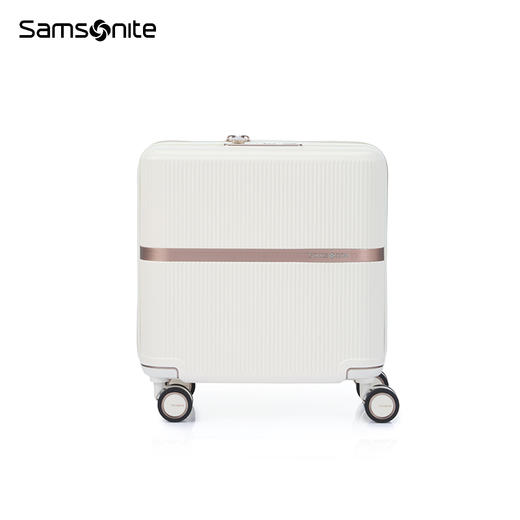 新秀丽MINTER网红摩登小流金箱PC材质机长箱HH5*009 商品图1