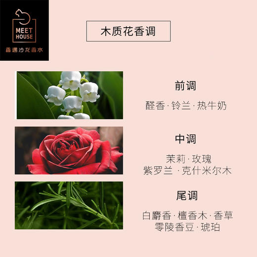 【2021美伊奖得主】香遇沙龙香碎镜与夜空香水50ml/100ml 商品图1