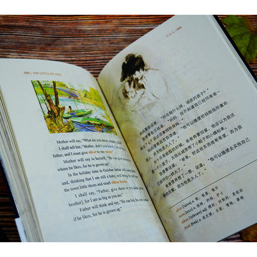 (英汉对照双语版)小王子+老人与海+新月集+飞鸟集+盖茨比+三天光明+安徒生+格林童话+伊索寓言+动物庄园(全10册) 商品图3