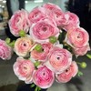 成功洋牡丹各色5支合集 商品缩略图1