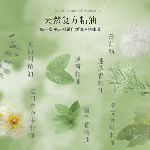 3支  后辰尤加利鼻通 2ml/支  A-5595（效期28-7） 商品图3