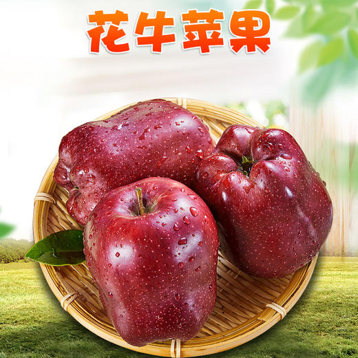 【甘甜爽口！天水花牛苹果】鲜香多汁，水嫩多汁、醇香可口。 新鲜应季水果粉面红马果苹果礼盒伴手礼 商品图1