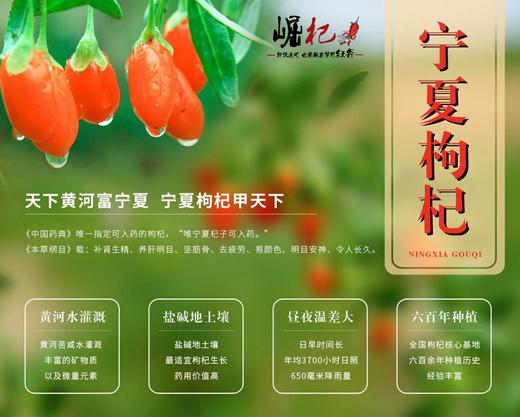 正宗宁夏头茬 红枸杞/黑枸杞 商品图5