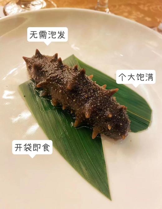 【2.5-2.17停发】海朴大连即食海参底播刺参500g/袋滋补 商品图1