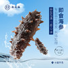 即食海参无需泡发  6根装 商品缩略图0