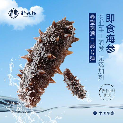 即食海参无需泡发  6根装 商品图0