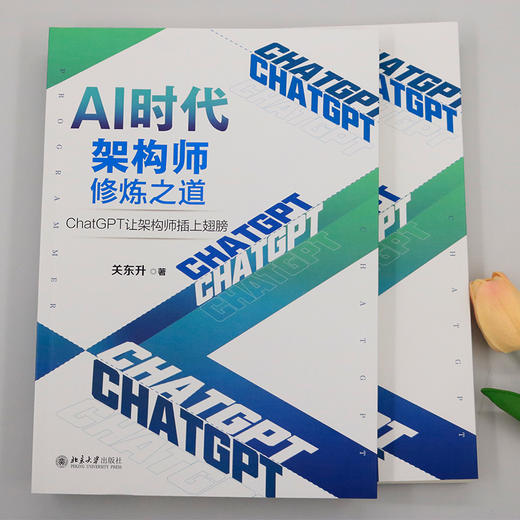 AI时代架构师修炼之道：ChatGPT让架构师插上翅膀 关东升 著 北京大学出版社 商品图2