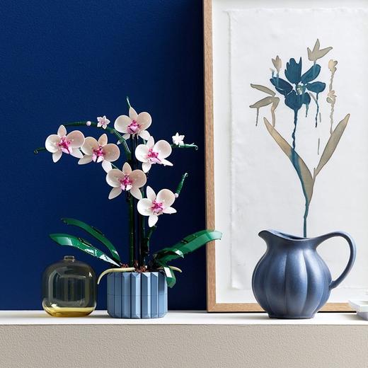 乐高(LEGO)兰花 家居摆件儿童玩具成人生日情人节礼物  njzx 商品图3