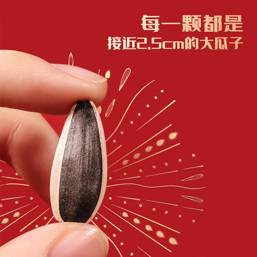 🌻特惠分享 好吃不上火 越嚼越浓香的内蒙三胖蛋原味瓜子 商品图5