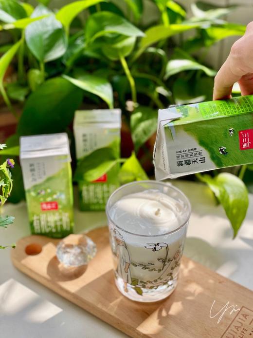 活动特价，109元/四箱！新疆黄金奶源带！【马三三纯牛奶】军垦牧场 口感丝滑 优质乳蛋白，浓郁奶香～ 新疆纯牛奶 儿童早餐奶！ 商品图6