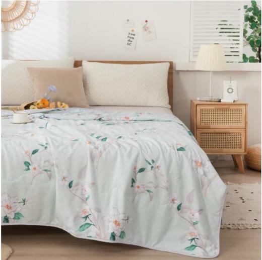 多喜爱亲肤磨绒夏被盛夏光年 S码-152*218cm【分仓直发，72小时发货，周末节假日不发货】 商品图1