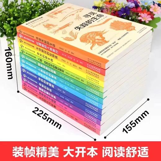 【会员减30】《看不见的科学世界》（13册）礼盒装 商品图4