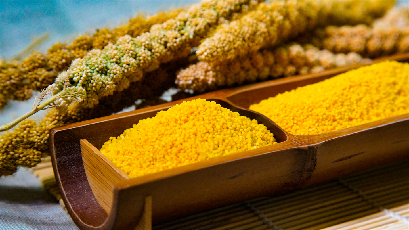 【橙象优选】那年愿有机黄小米500g*5袋