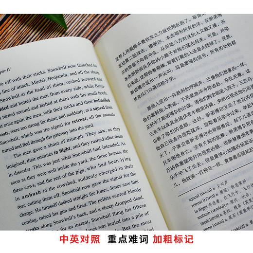 (英汉对照双语版)小王子+老人与海+新月集+飞鸟集+盖茨比+三天光明+安徒生+格林童话+伊索寓言+动物庄园(全10册) 商品图4