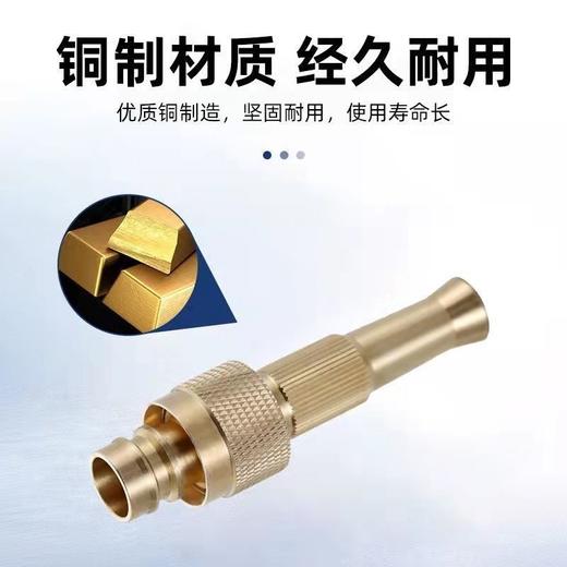 全铜高压水枪家用多功能喷枪4分6分水管通用浇花浇菜洗车水枪-M仓 商品图5