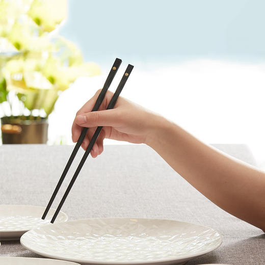 TA030103232ZZ 花好月圆合金筷10双礼盒 商品图5