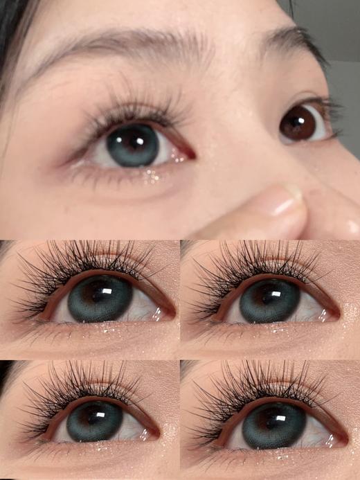 Morea品牌日抛-理想蔷薇（10p/盒） 商品图2