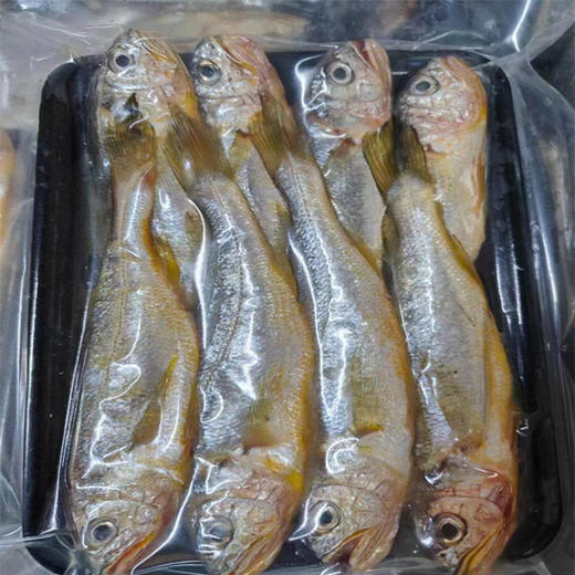 【11.9元/袋】舟山海捕野生小黄鱼400g（0804839） 商品图0