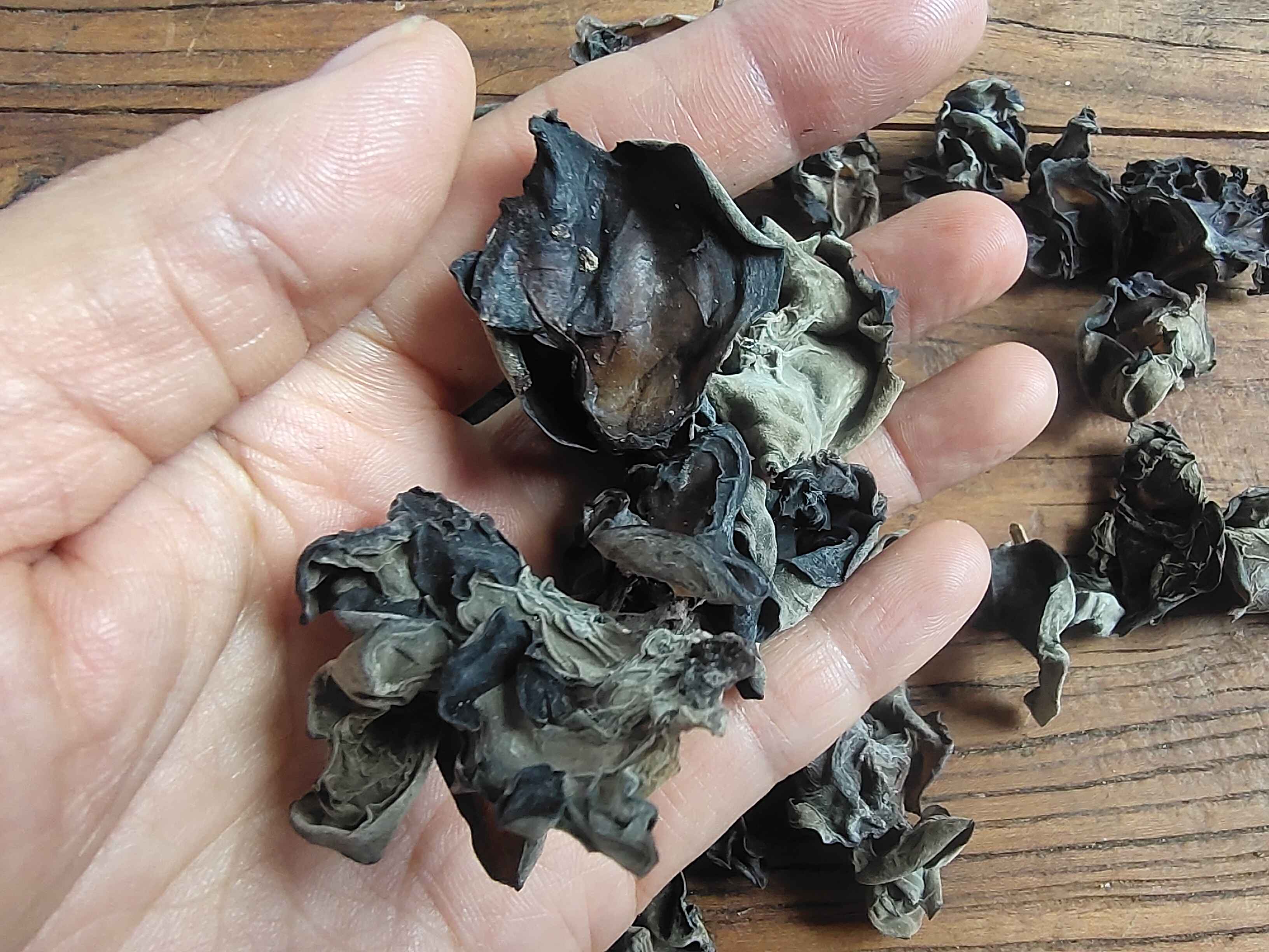 安叶家自产云南野生木耳(肉感特别足，细腻软糯)