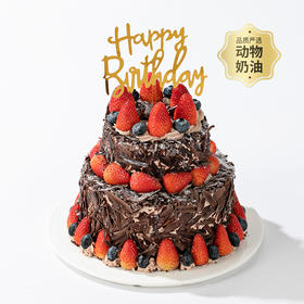 【黑巧爱好者推荐】森林小红帽双层蛋糕，浓郁黑巧搭配多汁草莓和酸甜黑樱桃酱，酸酸甜甜！（惠州幸福西饼蛋糕）