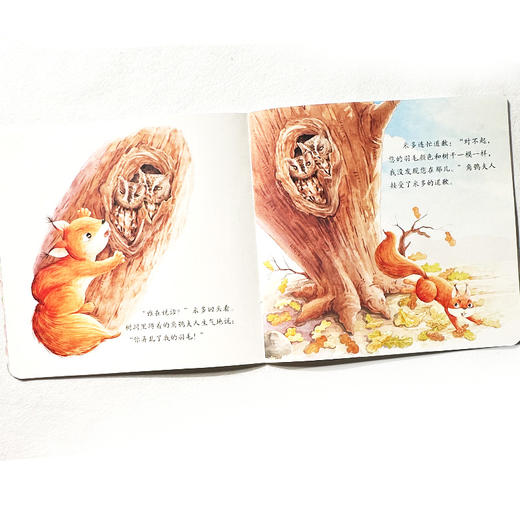 河面漂来一截木头:动物的伪装 商品图3