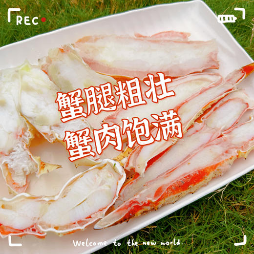 海朴帝王蟹腿750g/盒 顺丰包邮 商品图1