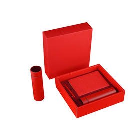 德世朗 保温杯锦鲤套装B 10402DJL-TZ066B