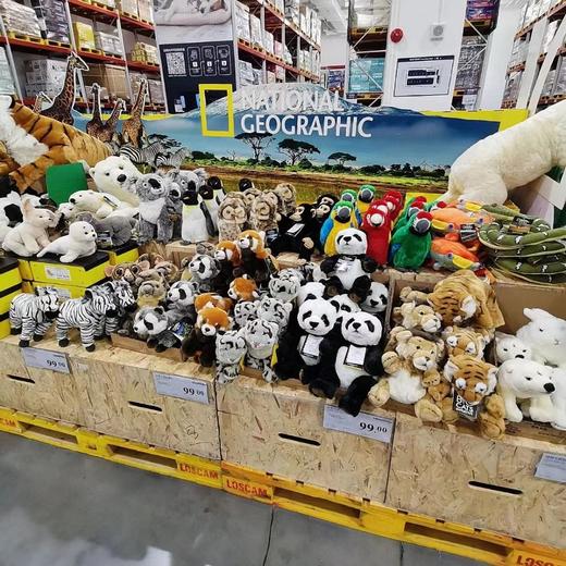 国家地理毛绒玩具仿真动物小熊猫狮子老虎公仔玩偶娃娃 商品图0