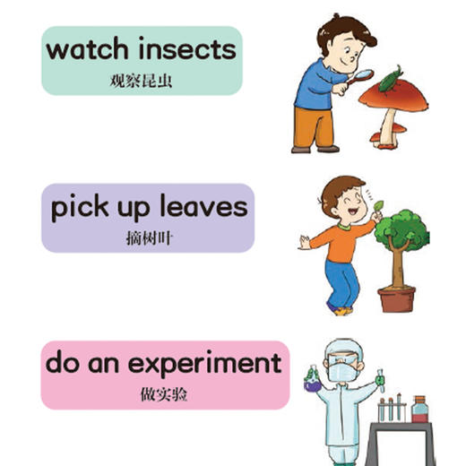 《满分记忆红宝书·速记英语单词》 商品图7