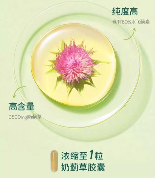 【清仓好价】英国HB荷柏瑞奶蓟草胶囊飞蓟护肝净肝片30粒（瓶身瑕疵） 商品图3