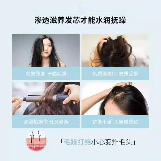 【官方正品】云南白药养元青养润柔顺护发素480g护理素植物精粹滋养修复发丝干枯毛躁护理头皮男女 商品图2