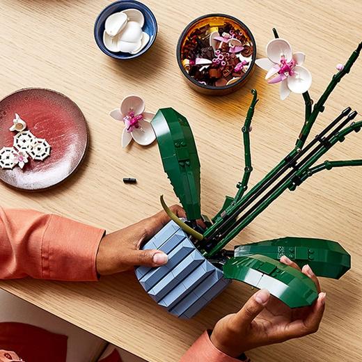 乐高(LEGO)兰花 家居摆件儿童玩具成人生日情人节礼物  njzx 商品图1