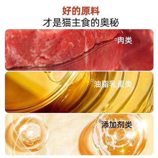 新品上市金多乐主食罐餐盒慕斯质地绵密小鸟胃易舔猫粮全价成幼猫咪湿粮营罐 商品图5