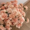 【多头康乃馨.第二份0.1元】10支/份 品种自选 商品缩略图5