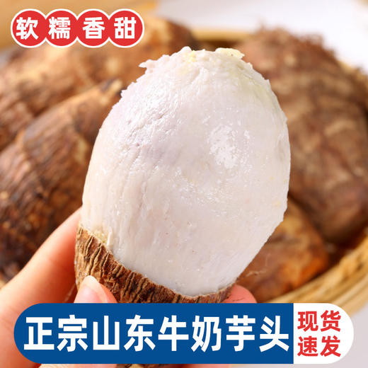 【软糯鲜美 现货速发！新鲜小芋头】鲜芋外观，香软可口。毛芋头小巧玲珑，山东奶油芋头 新鲜蔬菜当季毛芋头 软糯牛奶小芋头 商品图4